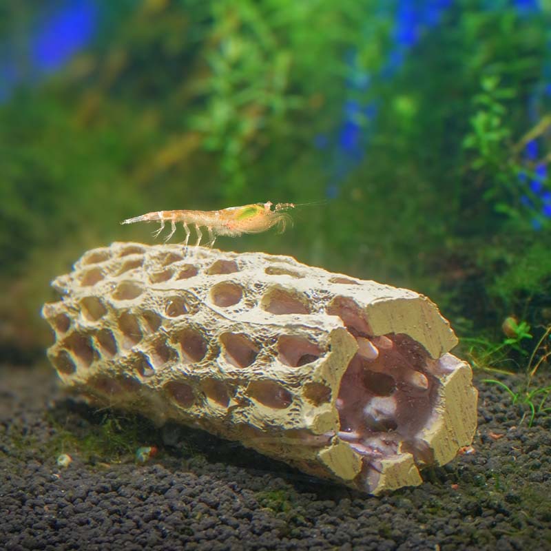 El comerciante empuja fuertemente la pecera de resina para el paisaje, el micropaisaje, el camarón Pipi, el camarón reptil, el pequeño camarón para evitar la casa, el punto es recto