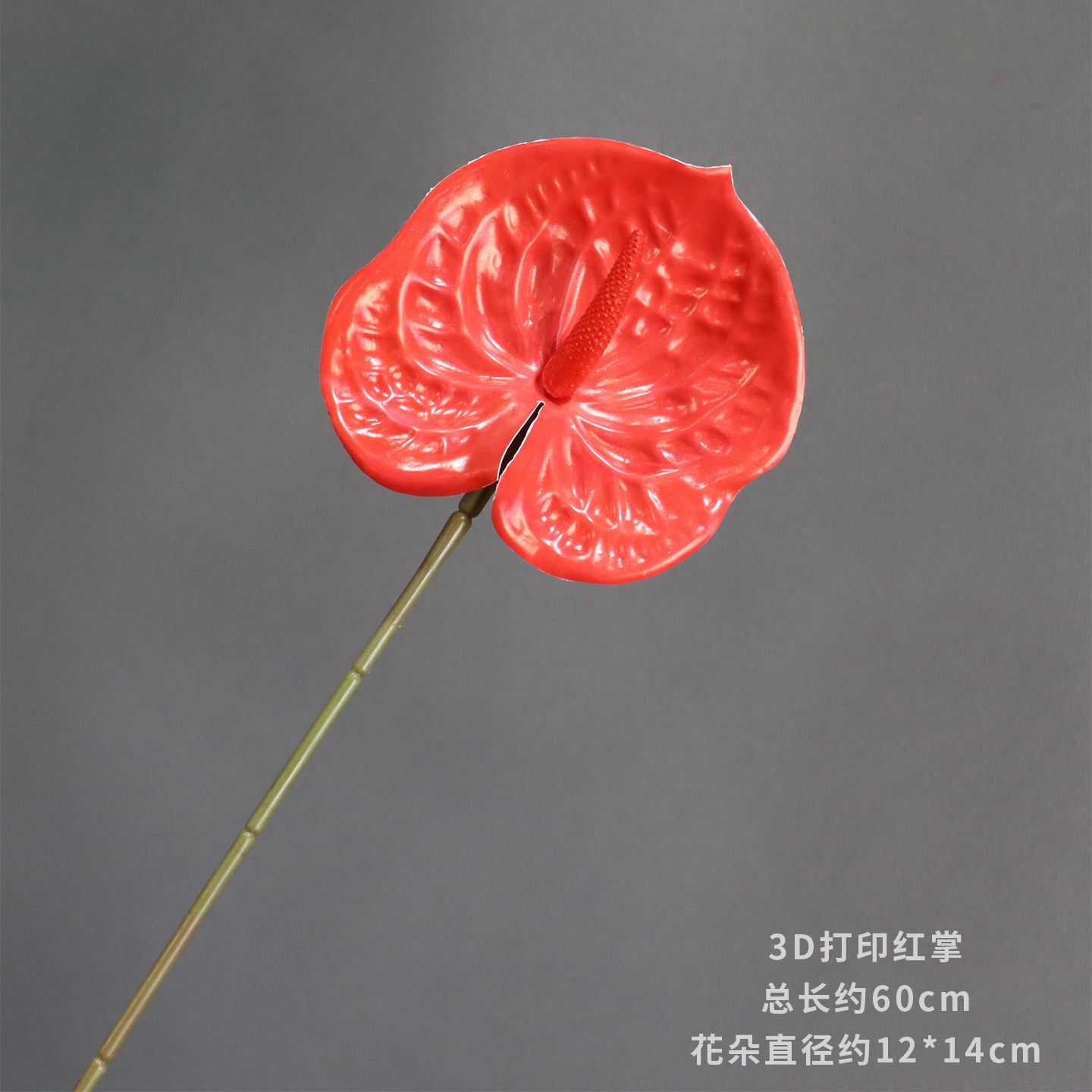 12호 3D 프린팅 안스리움