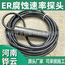 埋地扩散电阻同步测量系统交直流杂散电流ER探头​腐蚀速率监测仪