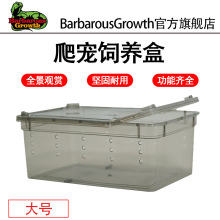 爬虫饲养盒爬宠箱冬眠用品角蛙蚕宝宝蜈蚣守宫蜗牛蜘蛛活体乌龟缸