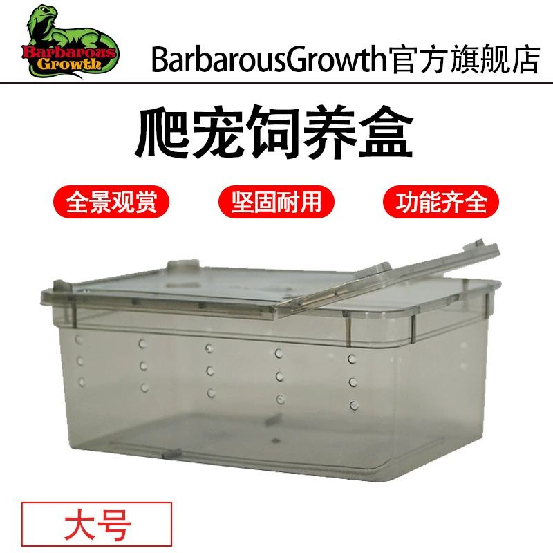 Ящик для кормления на гусеничном ходу ящик для лазания домашних животных зимние спальные принадлежности угловая лягушка Шелкопряд детская многоножка дворец Улитка паук живая банка для черепахи