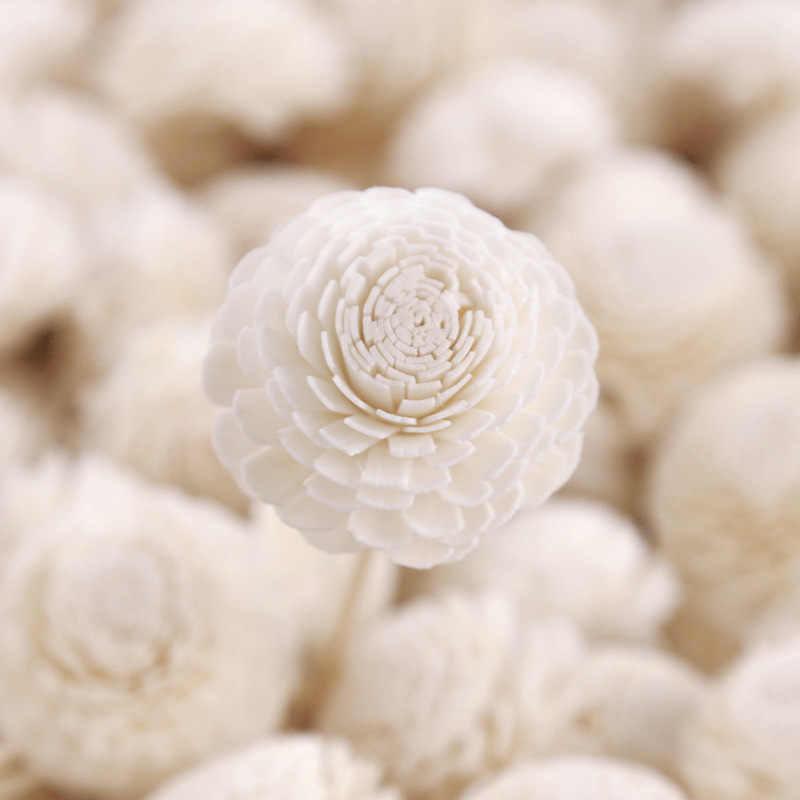 Spot ratán flor de hierba 4,5 cm flor de aroma de crisantemo sin corazón varilla de expansión de incienso accesorios decorativos flores secas hechas a mano flores artificiales