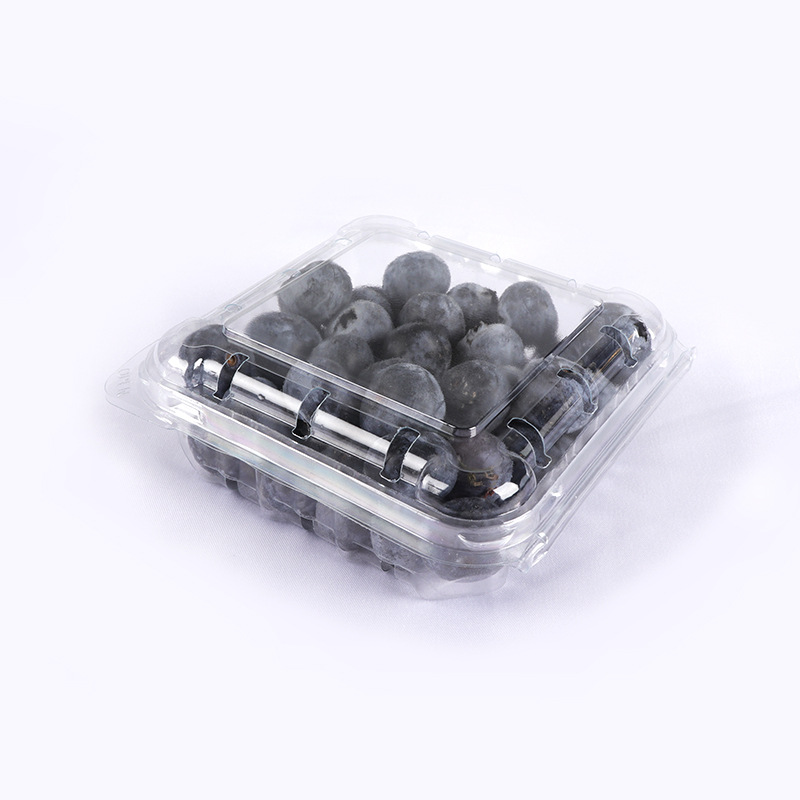 125g caja de arándano jiawoyi caja de arándano transparente desechable frambuesa mora crujiente embalaje de fruta para mascotas