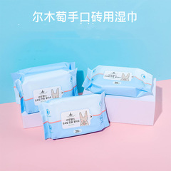 Portable Wet Wipes Disposable Makeup Remover Cleaning Adult and Child Hand and Mouth Hygiene Towels