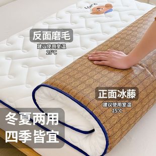 Antarctic Summer Ice Silk Mat Mattress Soft Cushion Student Dormitory Single Winter and Summer Dual-Use Foldableing Thin Model for Home Use