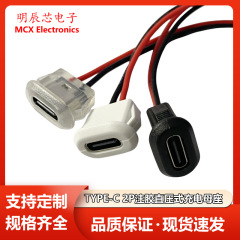 TYPE-C2P注入ゴム母座直圧式電気スタンド楕円充電口電気自動車usbコネクタ