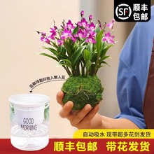 ʯ���m���Ԏ������ļ������m�҃ȿ͏d�̨���������m����ˮ��ֲ��
