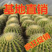������������������҃ȶ���ֲ����������҃ȷ�ݗ������������