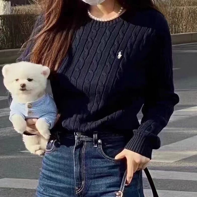 Autumn and Winter Korean Style Twist Knit Round Neck Long-Sleeve Paul Embroidered Sweater Women's Top Fashionable Versatile Lazy Style