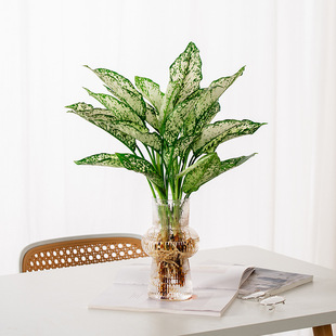 �²����廨ƿˮ�B���滨�r���y��ѩ������͏d�ɻ�����͸��ˮ��ƿ