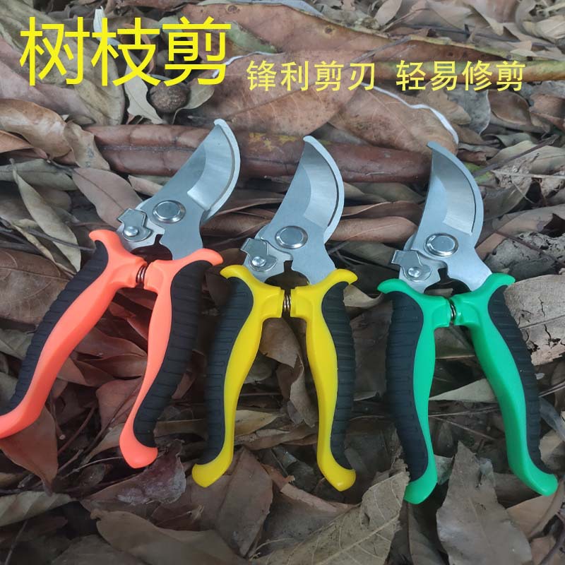 园林工具果树修枝剪刀不锈钢家用园艺剪刀修枝剪树枝剪刀花艺剪子