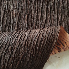 ��Ƥ���߹ܵ��b��٘���N�����ړ������Ƥ�����҃����b�ˮ��