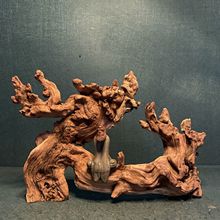 天然金丝红沉木鱼草缸造景树根雕艺茶桌玄关装饰摆件非杜鹃根仕淮