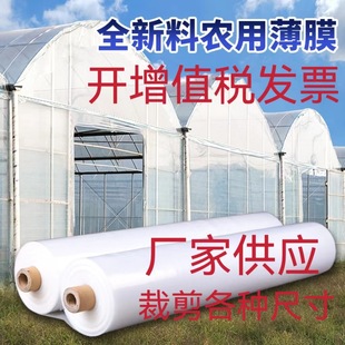 ����pe͸��������m���ϴ���Ĥ �Ӻ�����r���Bֳ�o��Ĥ POĤ