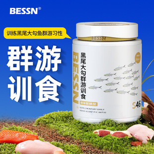 Bessn Black Tail Big Hook Fish Group Swimming Training Food Feed Group Swimming Training Food Red Nose Scissors One Eyebrow Taoist Guppy