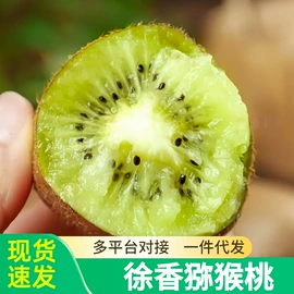 块茎类;其他水果;苹果