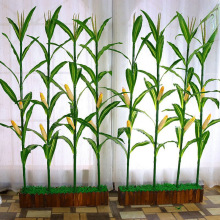 ֲ҃bƷraƷ߾Ƶ͏dטԾGֲr