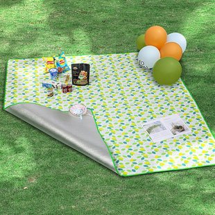 Aluminum film outdoor picnic mat Internet-famous thickened moisture-proof mat effect external foldable camping mat tent mat spring outing mat