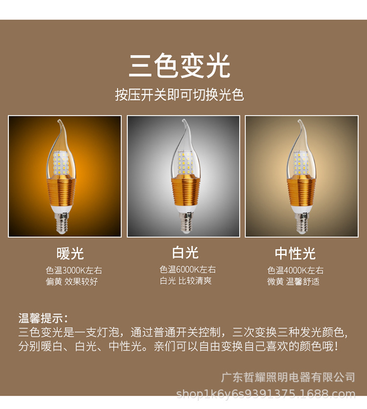 金色拉尾尖泡_08