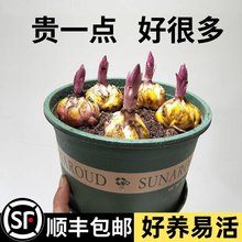 �ٺϻ��N����ˮ�ٺ��ļ����ܺ��B���ֲ���҃��⻨�����Ի��N��