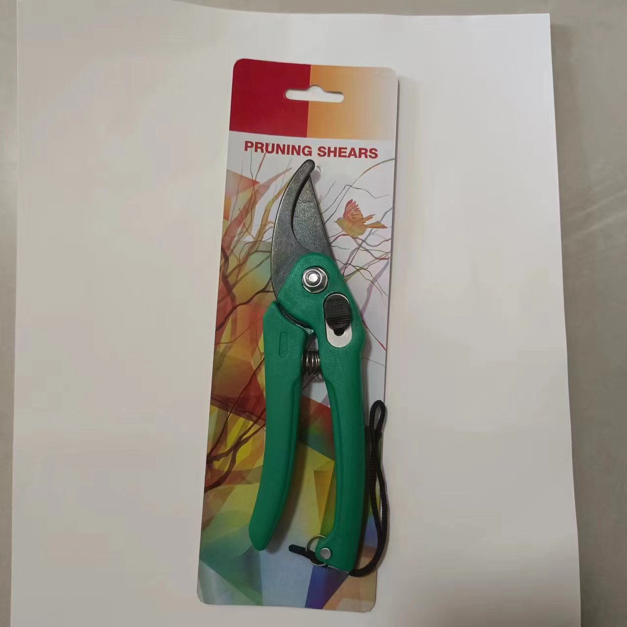 微信图片_20240428090644