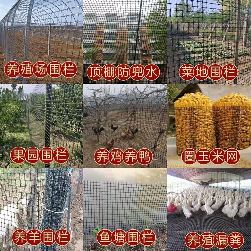 黒いプラスチックジオグリッドポリプロピレン飼育フェンス魚の池果樹園菜園フェンスプラスチックネットコーングリッド|undefined