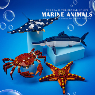 �羳��������˹663013-24���l�C�׺���������~����ƴ�b�eľ���