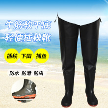 ��������m�ӷN���LͲˮ��Λ�Ӻ�ˮ��ρ�x��~ѝ�����