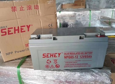 西力蓄电池NPG65-12 铅酸免维护电池12V65AH UPS/EPS直流屏后备