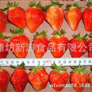 �ك���ݮ�t���������Y�|���S�����깩؛��