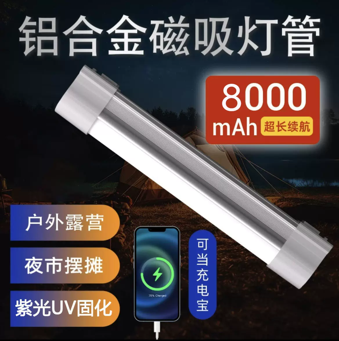 露营摆摊便携多功能磁吸充电应急灯 带充电宝 蔬果农药残留检测灯
