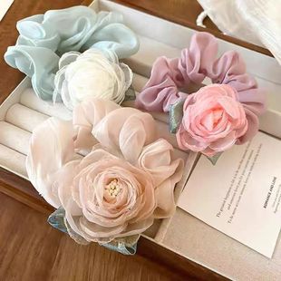 �W��õ�廨����c�lȦ���Rβ�l�K���r��2024���¿Ƥ��l�Ů