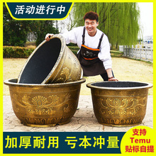 �S�����l�ش�̖���Ϙ�֬�Ӻ�������F�䳬�����ɻ�˯ɏ�B�~��