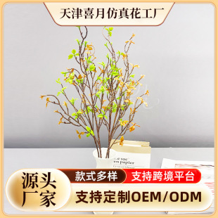 �羳�Gֲ��֧�L֧��֧��ѿ �Rβ�� ����ëë�x��c�b���Gֲ