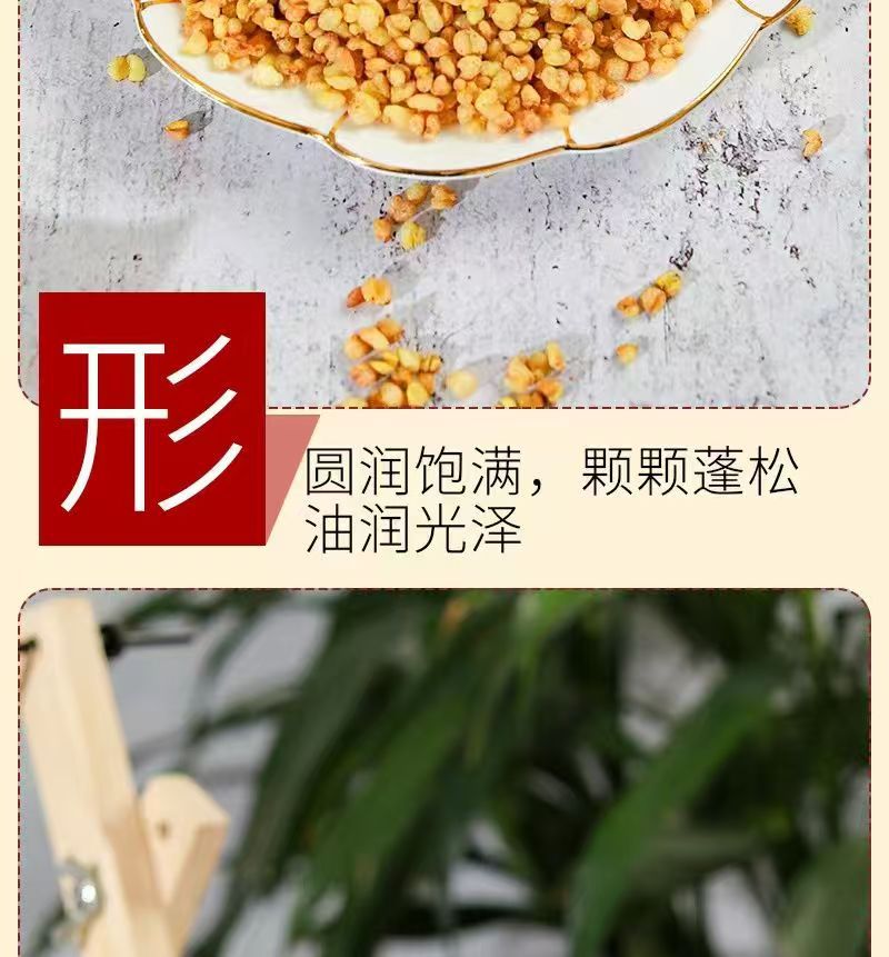 Yellow Tartary Buckwheat Tea Ku Qiao Mai 500g Loose Dried Grains for Daily Brewing in use