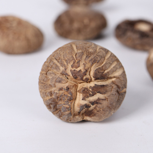 Wholesale of Yanzhifang Shiitake Mushrooms North and South Dried Shiitake Mushrooms Soup Xixia Shiitake Mushrooms Wholesale of Rootless Dried Shiitake Mushrooms