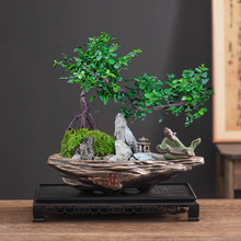 ��ʽ�������������մɴ�ڏ���������ѩ����͸��Gֲ�쾰�莧�бP