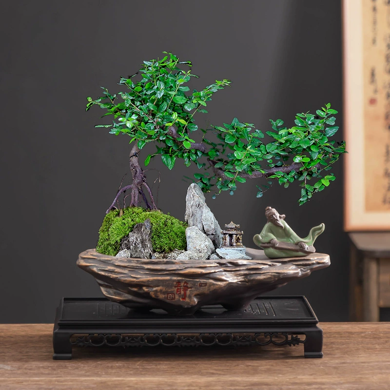 Чайный горшок китайского стиля Фуцзянь, керамический большой калибр