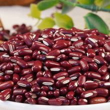 ��؛��С��5���L���t���ඹ��޲���ײ������r������s�Z���b�G��