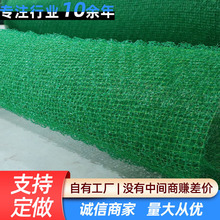 ���Sֲ���W߅�¾G�����ٵVɽ�;G���S�WNSS3�����W�|���B�ޏ�