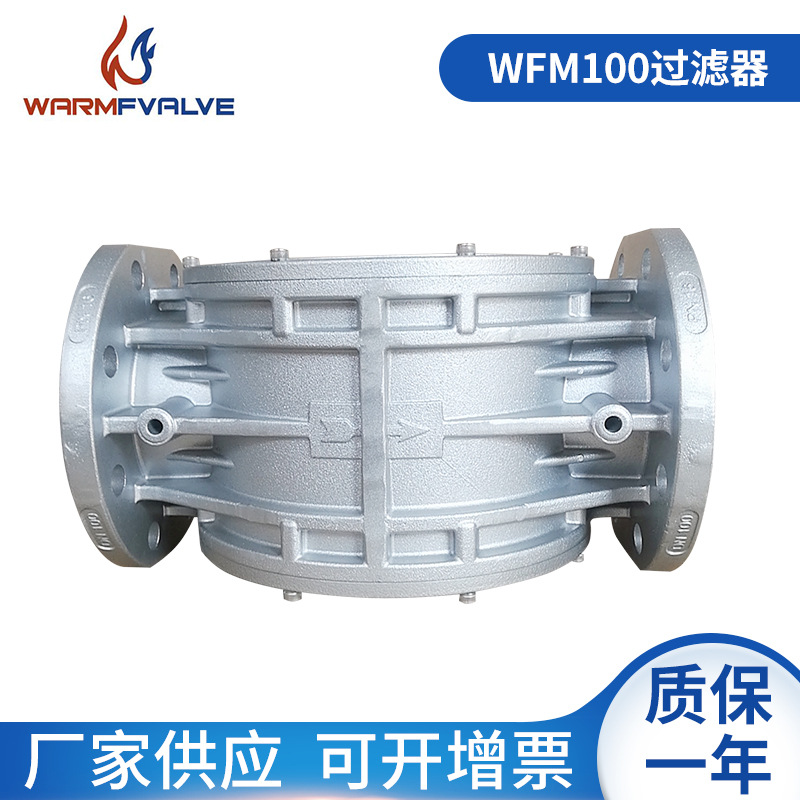 厂家供应DN100法兰过滤器 天然气管道过滤器 燃气过滤器 重力铸造