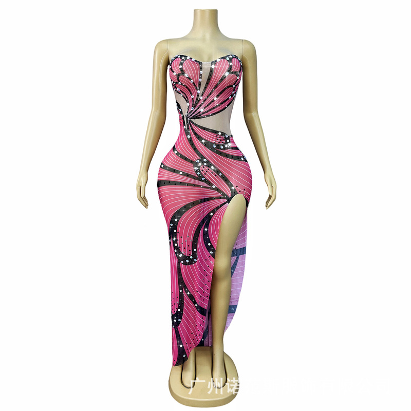 Unique Butterfly Print Rose Red Tube Top Slit Long Skirt Catwalk Singer Photo Party Prom Dress