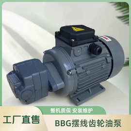 内啮合摆线齿轮泵 BB-B液压泵头  BB-B2.5 摆线齿轮泵