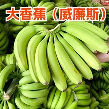 �V������˹�㽶ܛŴ����10����]����ˮ�����r��Ȼ���۽�С��