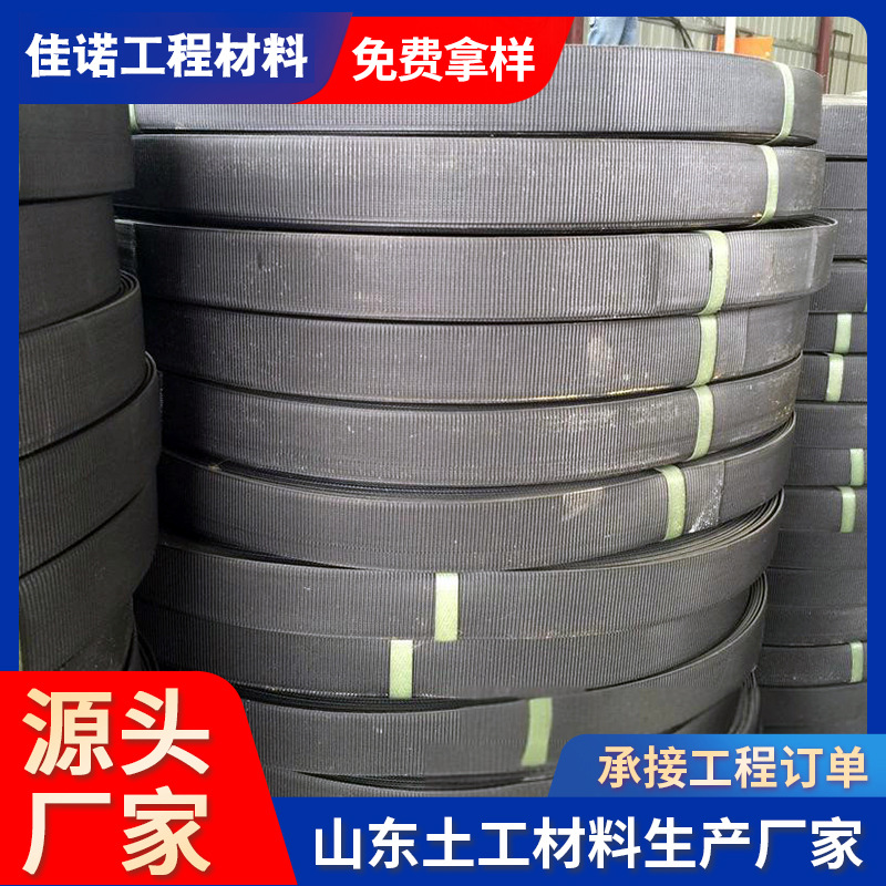 Steel-plastic composite reinforced belts for retaining wall…