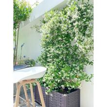 �ͺ��y�z�L܇���򻨴������ٻ���ֲ���̨�ļ������҃������ԾGֲ