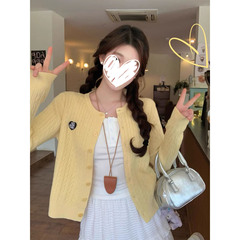 2025新款设计感多巴胺刺绣针织开衫毛衣外套女早秋高级感短款上衣