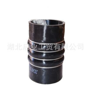 �|�L������Ş�����������z��/1119125-H0100