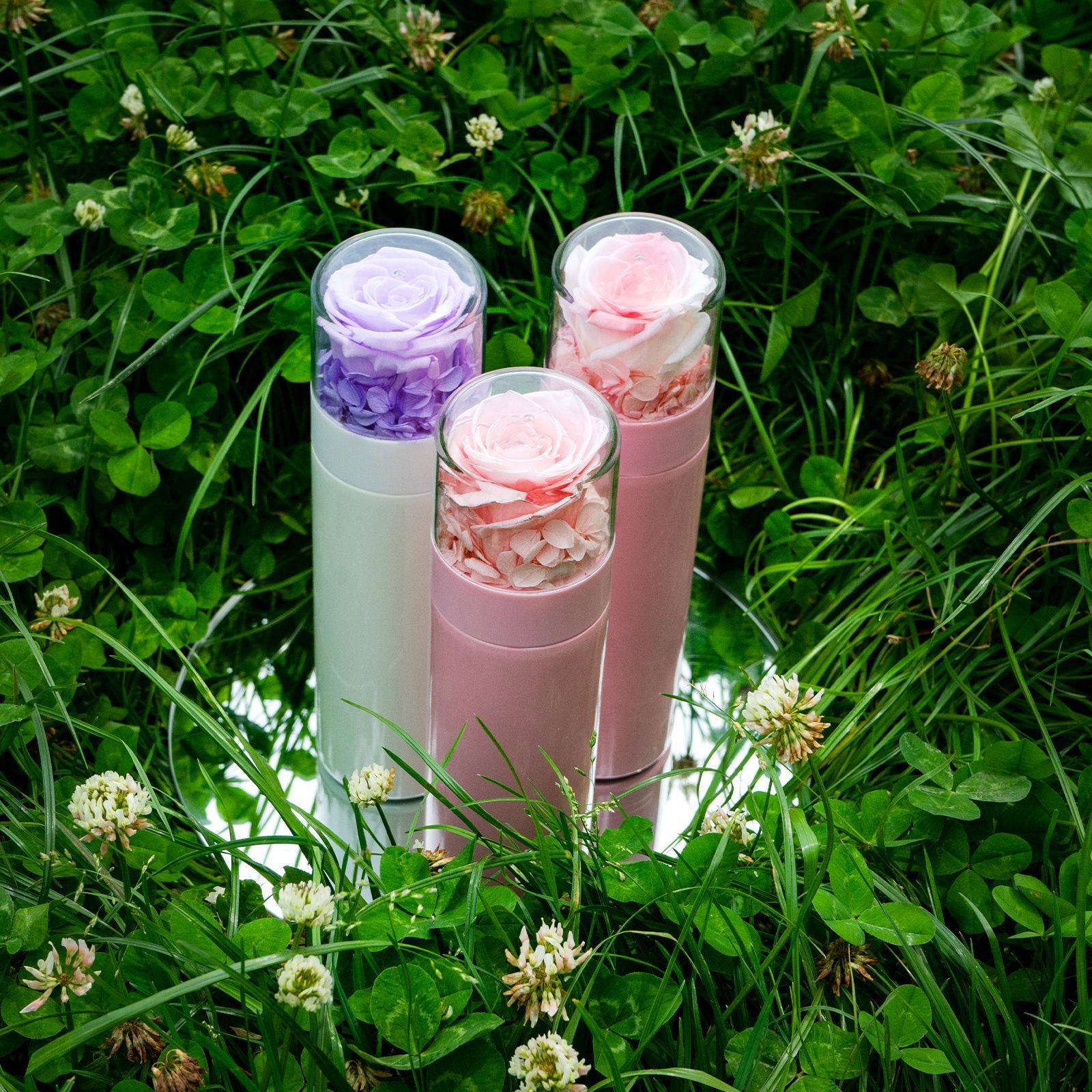 Yunnan naxi reina flor eterna termo taza de agua al por mayor de flores preservación regalo café leche té bebida qixi Festival