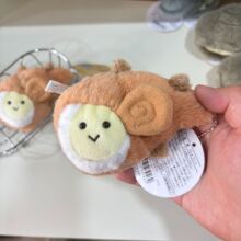 ����ɢ��VЦ����ؐ�����ۻ���ë�q��߹�����ż����ɐ۶Y����